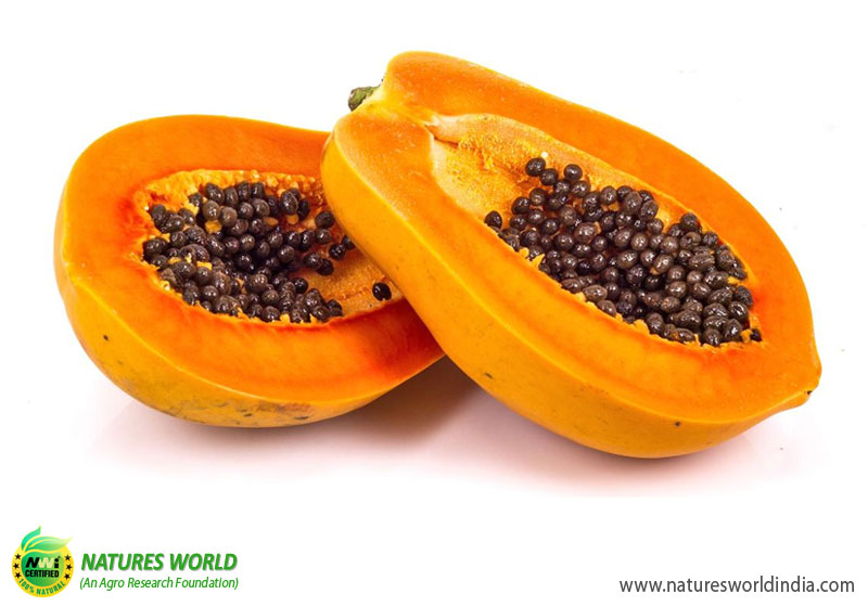 Papaya (PAPITA)