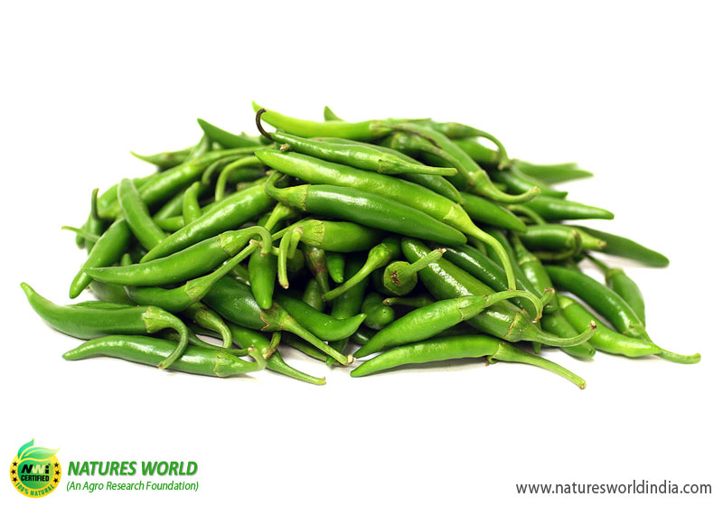 Green Chilli (HARI MIRCH)