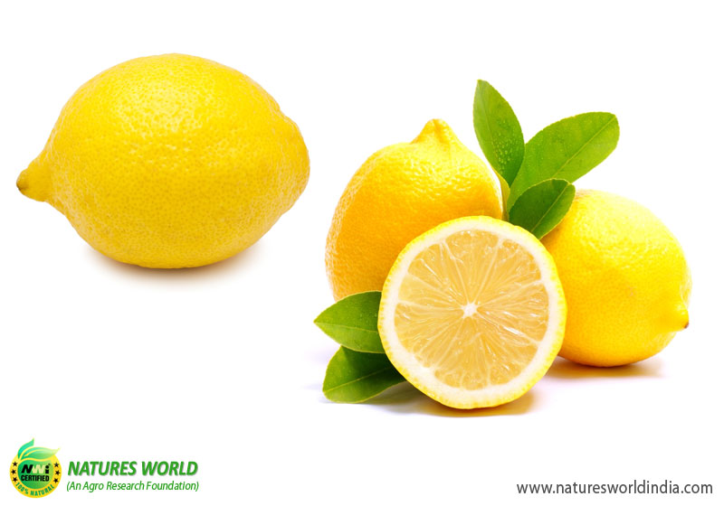 Lemon (NIMBU)