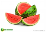 Watermelon (TARBOOZ)