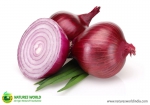 Onion (PIAZ)